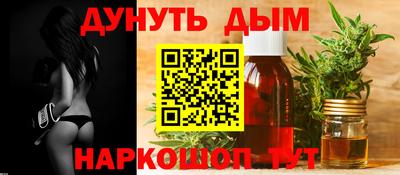 дживик Кингисепп